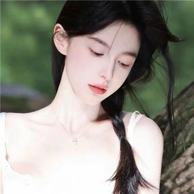 藏獒多吉