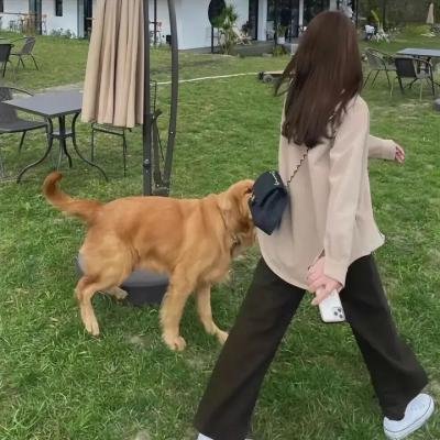 无声的革命